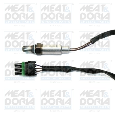 Oxygen Sensor